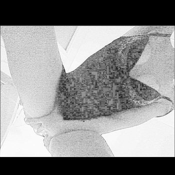 Profil de Samia, 40 ans, Libertine à St. Louis