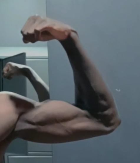 Profil de Talip, 20 ans, Libertine à Repentigny