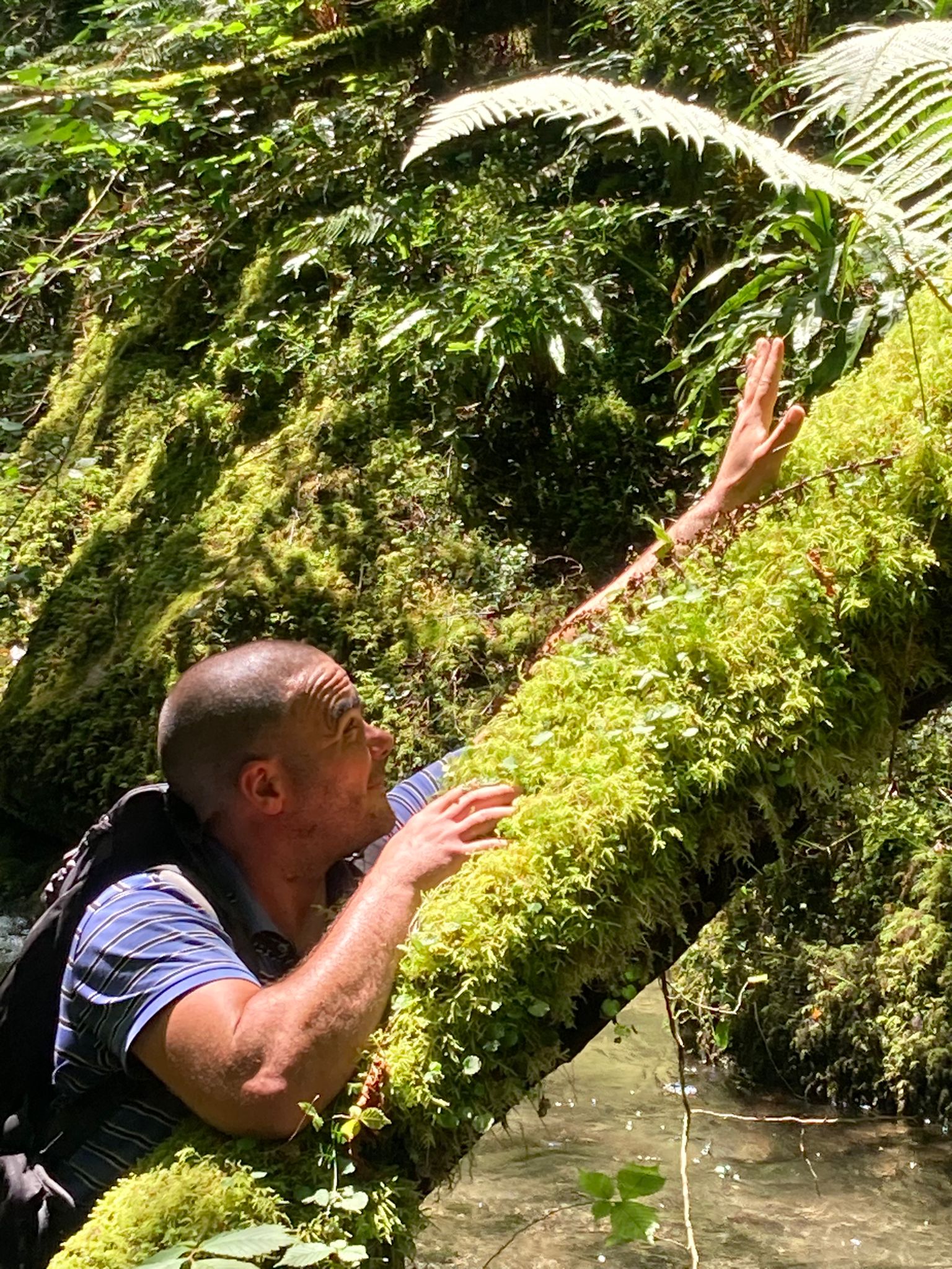 Profil de Jonel, 40 ans, Libertine à Innisfree