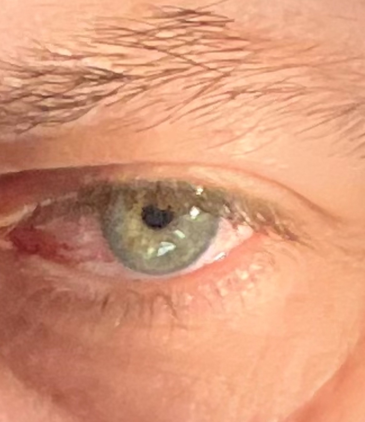 Profil de Melik, 48 ans, Libertine à Jasper