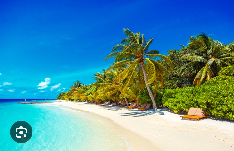 Profil de Jaden, 44 ans, Libertine à Elfros